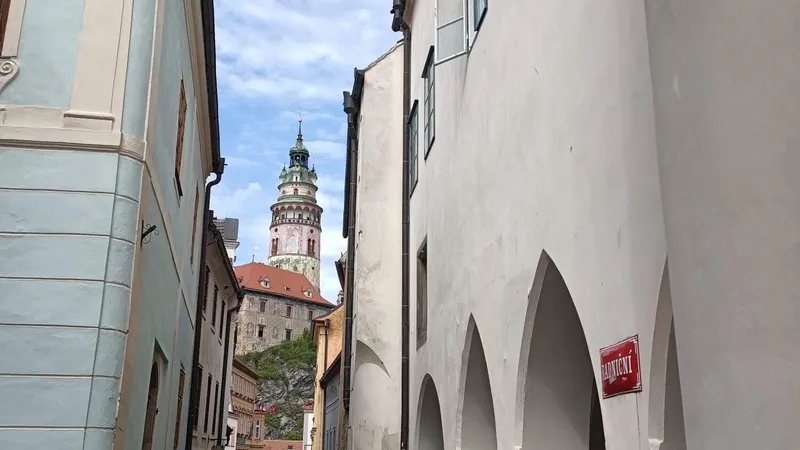 157e0484-48f5-494d-952b-7c4d86f9988f2